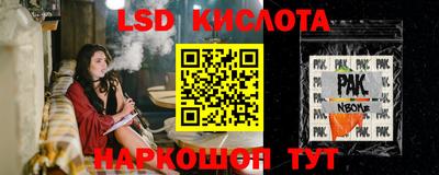 индика Пугачёв