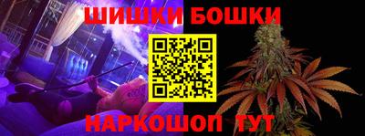 индика Пугачёв