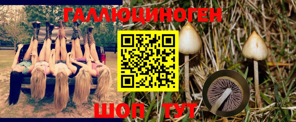 Новый Уренгой  Галлюциногенные грибы мухоморы  Вход с VPN 